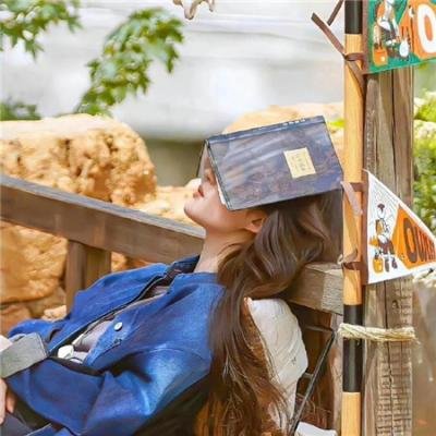 决战芝加哥